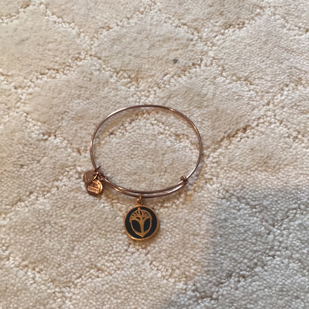 NWOT Rare Alex and Ani